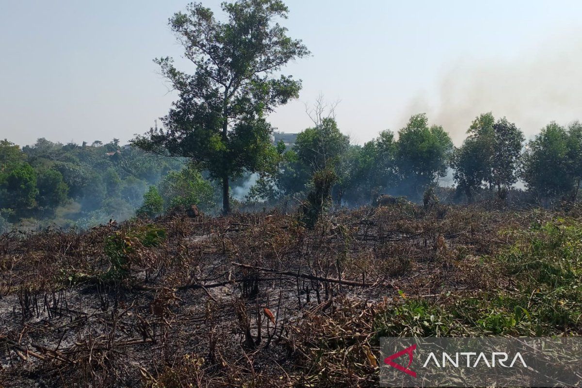 53 kebakaran terjadi di Kota Bengkulu sejak Januari 2024, Damkarmat imbau waspada selama musim kemarau