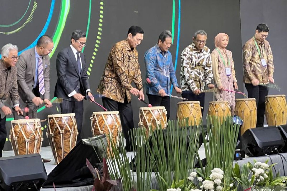 Menko Luhut ajak investor kembangkan industri hijau Kalimantan Utara