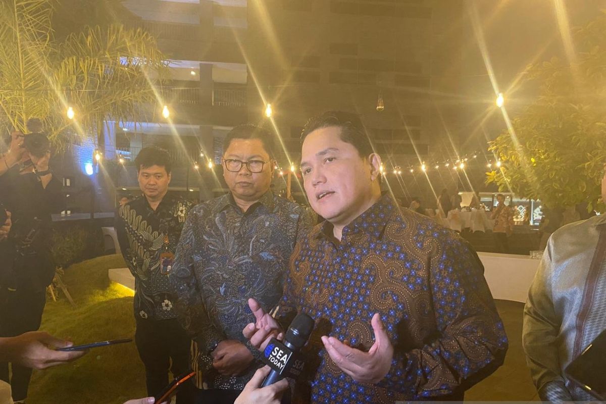 CEO TikTok dan YouTube akan dipertemukan dengan Presiden, begini penjelasan Erick Thohir