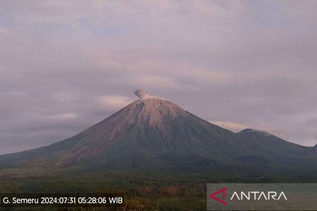 Gunung Semeru erupsi dengan letusan 700 meter di atas puncak