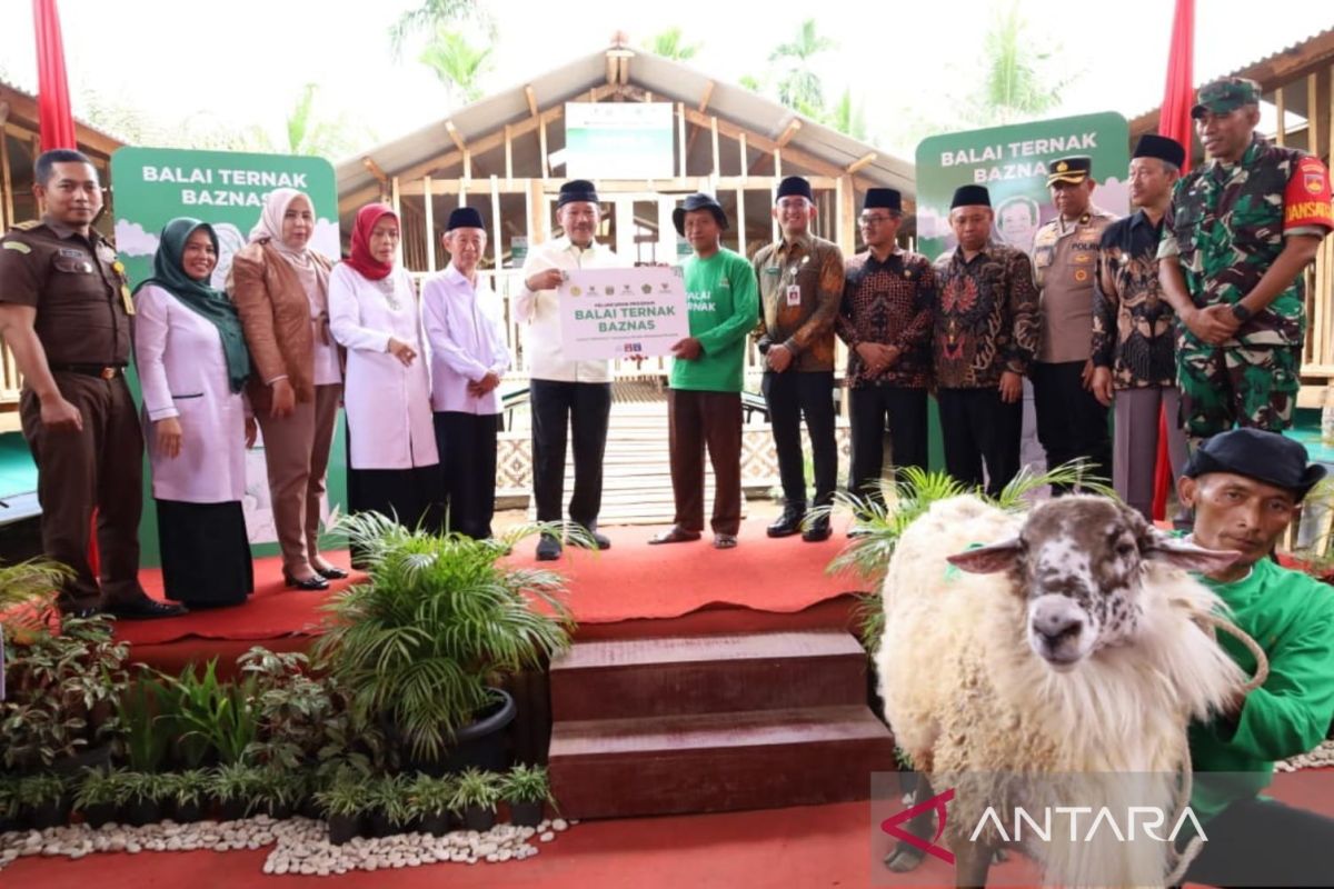 Baznas luncurkan Balai Ternak untuk memberdayakan mustahik di Banyumas