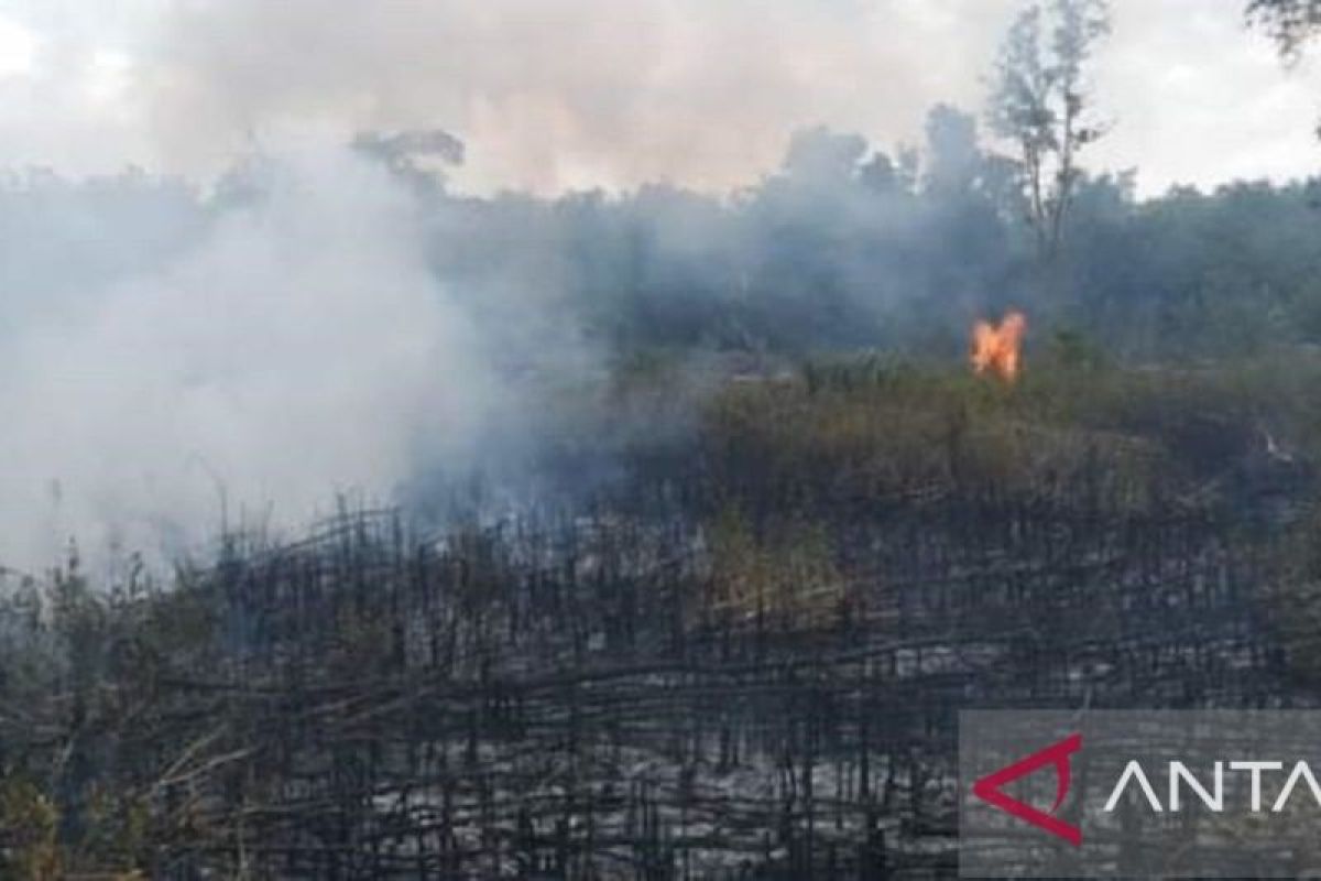 BPBD Belitung siaga kebakaran hutan dan lahan