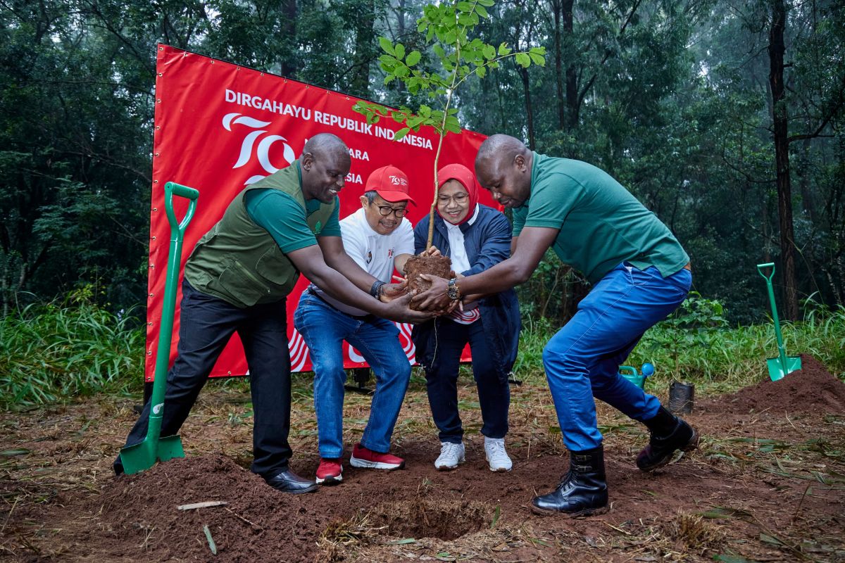 Peringati HUT RI ke-79, KBRI Nairobi tanam pohon di Hutan Karura