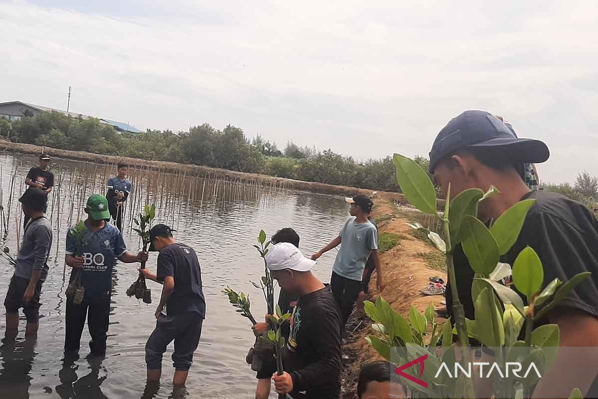 Human Initiative gandeng Pertamina tanam seribu mangrove di Aceh