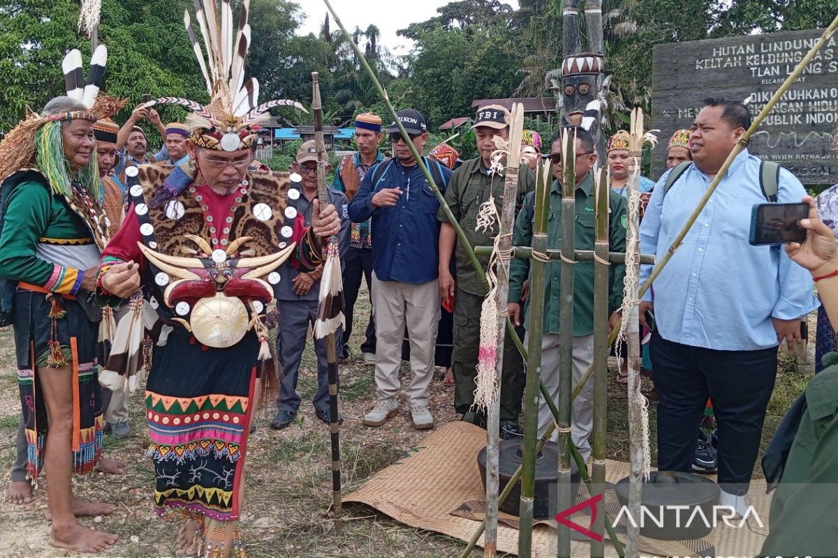 Masyarakat Adat Wehea Kaltim  berkomitmen jaga hutan lindung