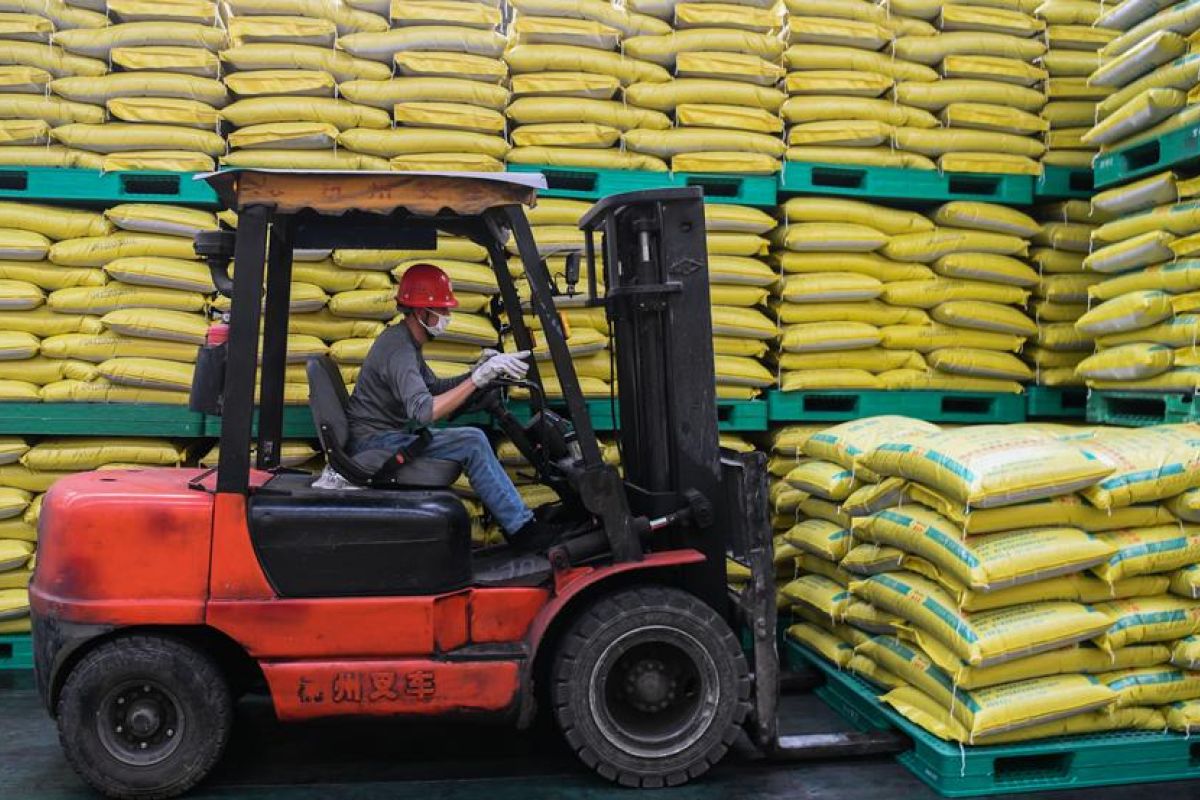 Studi: hanya 12,6 persen pupuk fosfor anorganik diserap tanaman