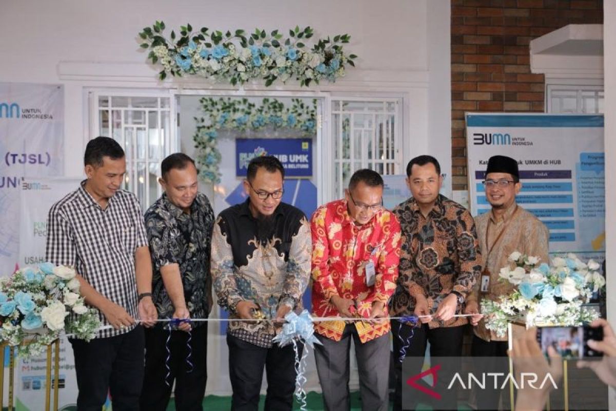 PLN resmikan HUB UMK dukung pengembangan UMKM