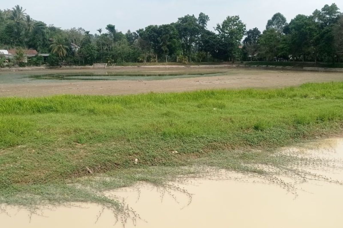 Akibat kemarau, Bendungan Cijoro Rangkasbitung alami kekeringan