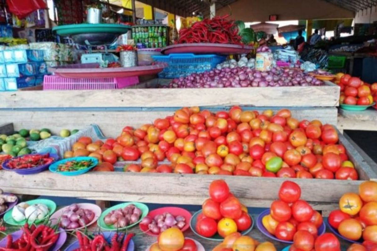 Pemkot Ternate tingkatkan pendapatan petani dengan bibit tanaman hortikultura