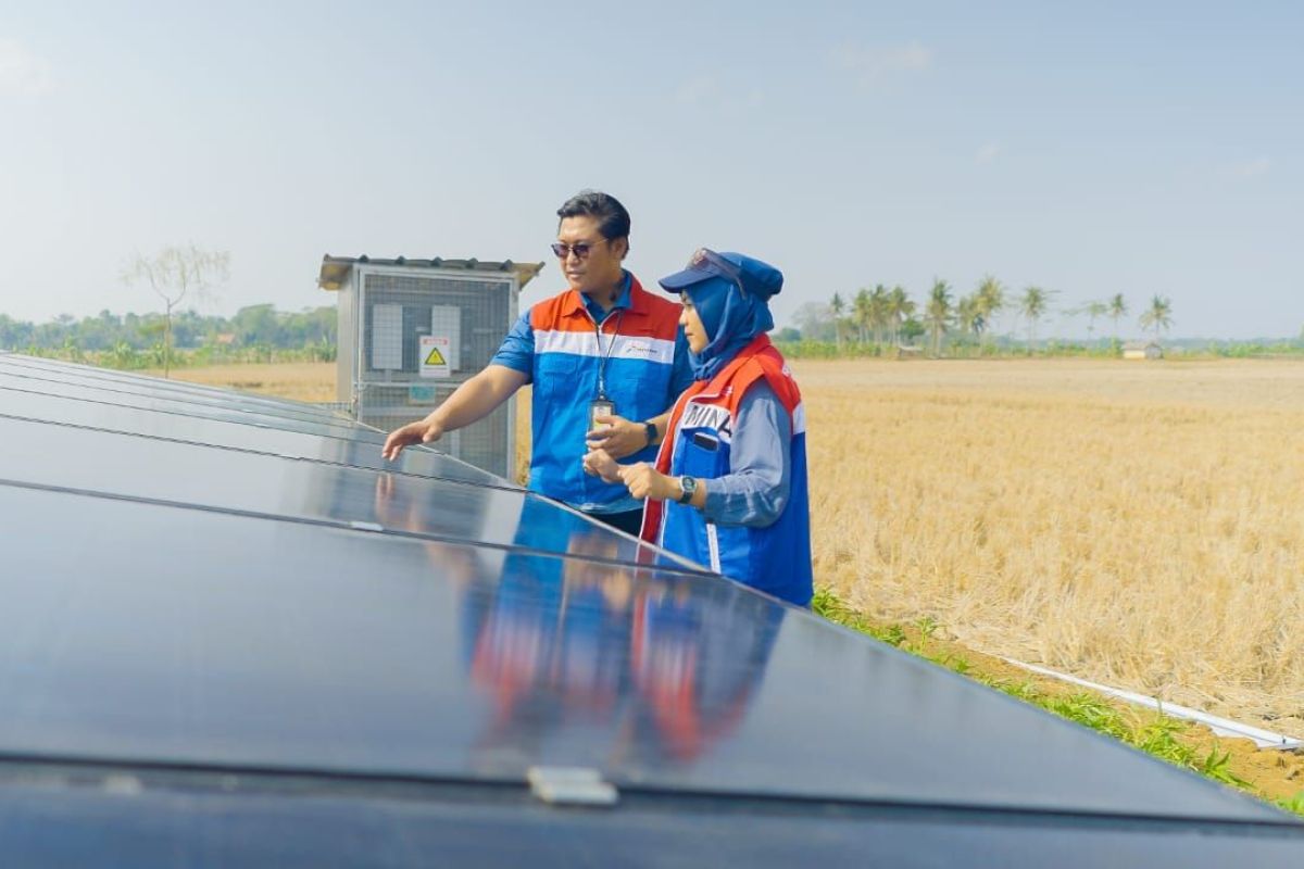 Kilang Pertamina Majukan Pertanian Berbasis EBT Di Cilacap - ANTARA News