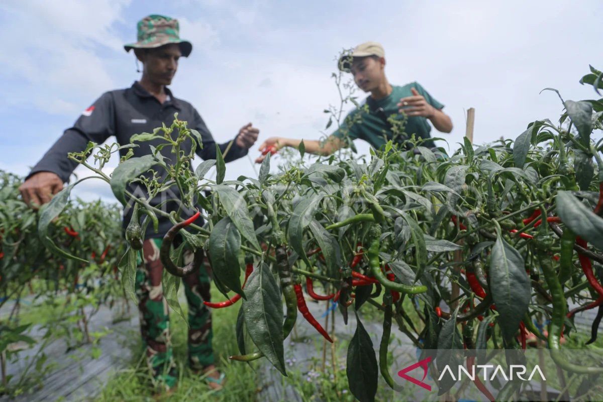 BPS catat Aceh alami deflasi bulanan dan inflasi tahunan pada Juli