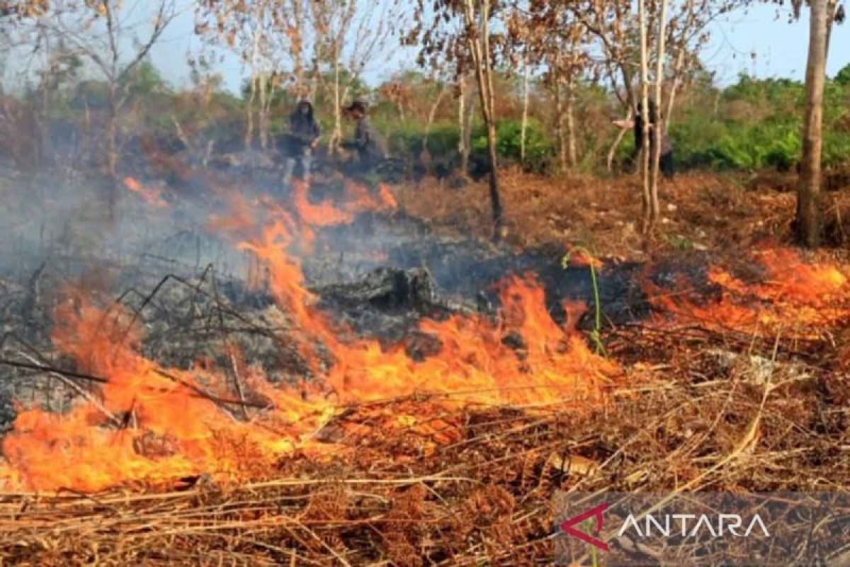 Pemkab Aceh Selatan imbau masyarakat waspadai karhutla