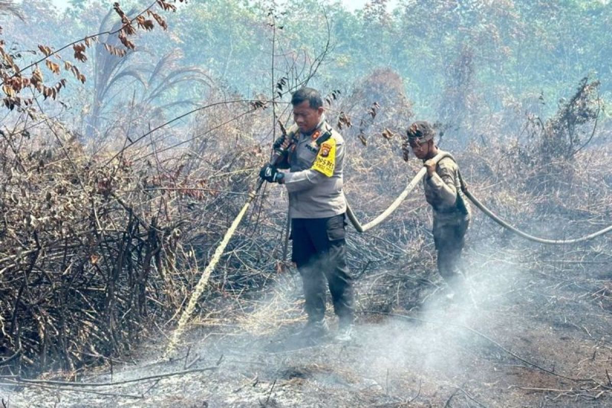 Delapan daerah di Riau berstatus siaga darurat karhutla