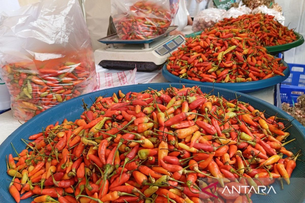 NTP Kaltim  capai 137,86 gambaran petani makmur