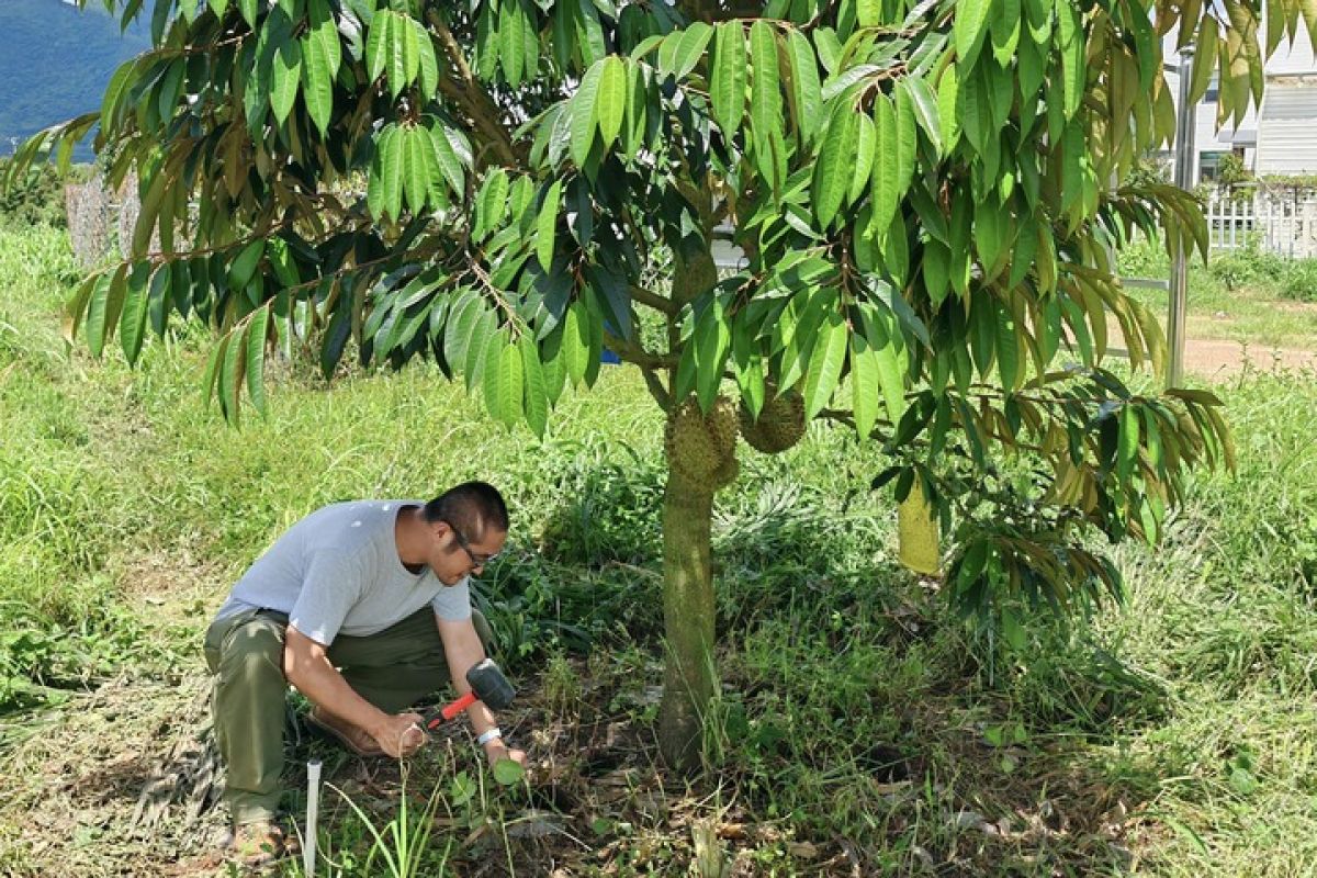 China luncurkan label sertifikasi emisi karbon