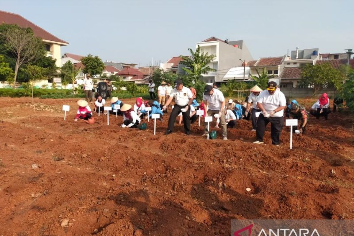 Jakbar tanam jagung dan labu air di lahan urban farming Kalideres