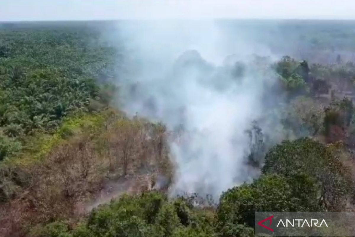 Kabut asap di Mukomuko dari kebakaran lahan gambut