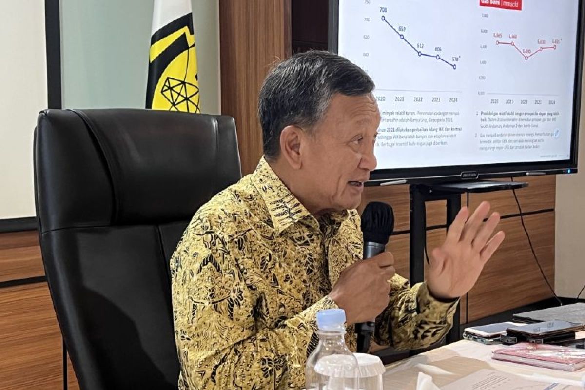 Indonesia gandeng China untuk tingkatkan produksi minyak bumi