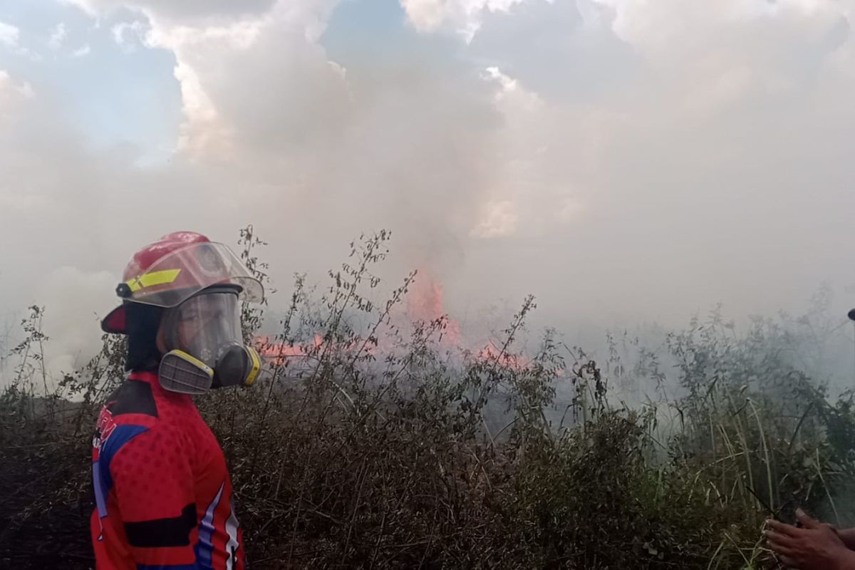 Damkartan Kota Jambi turunkan tujuh armada padamkan kebakaran lahan di Jambi Timur