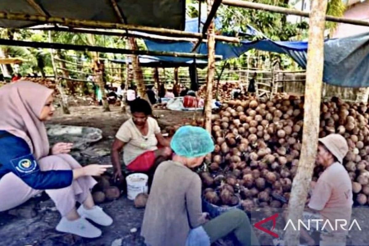 BPPP Ambon latih budi daya rumput laut manfaatkan batok kelapa bagi nelayan