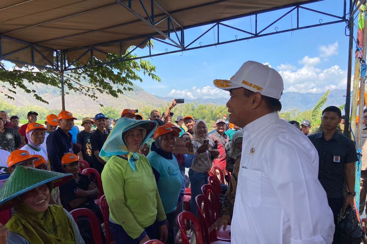 Menteri PMK: Nasi jagung bisa jadi pilihan menu makan siang gratis