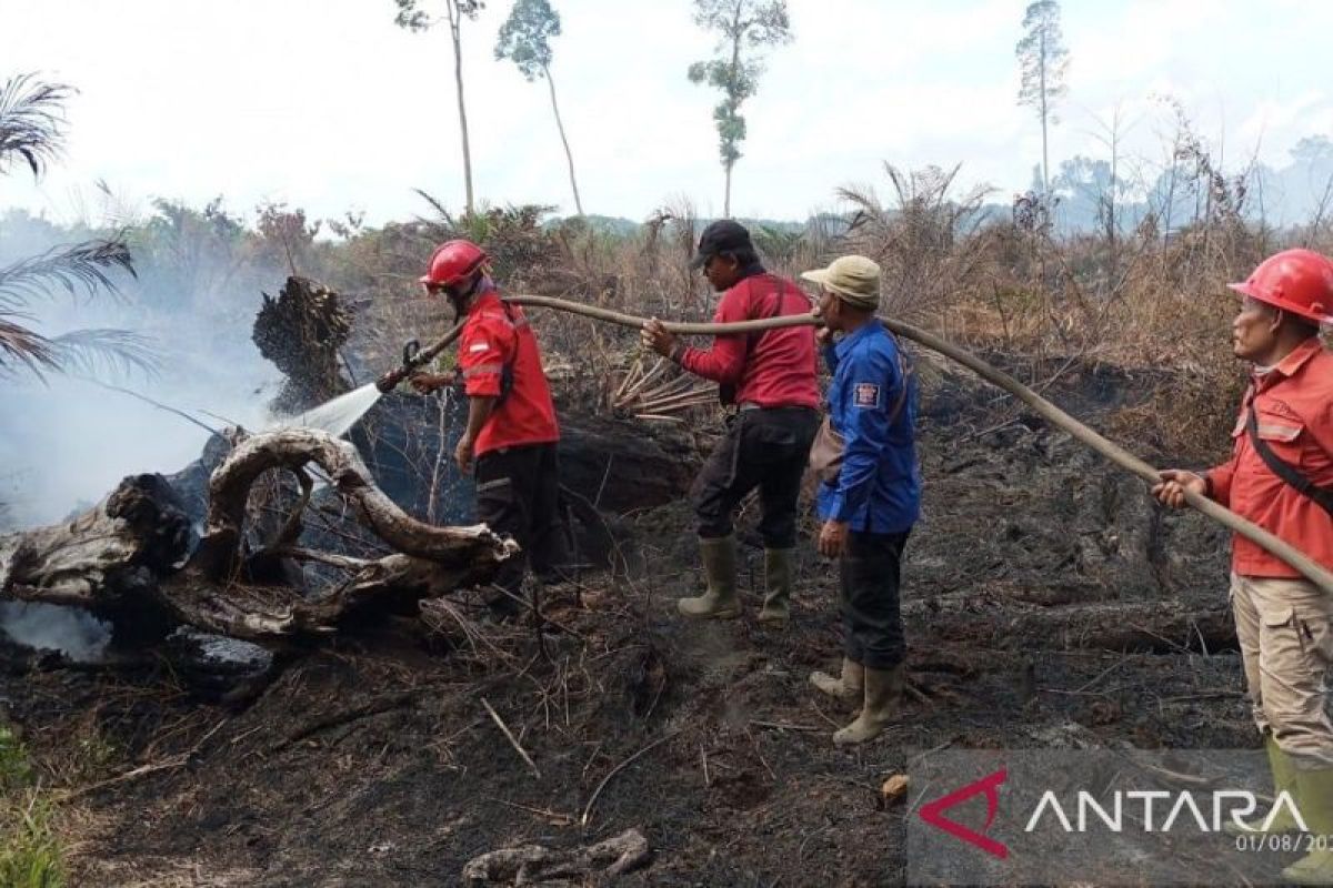 APP Group bantu padamkan karhutla di Tasik Tebing Serai Bengkalis