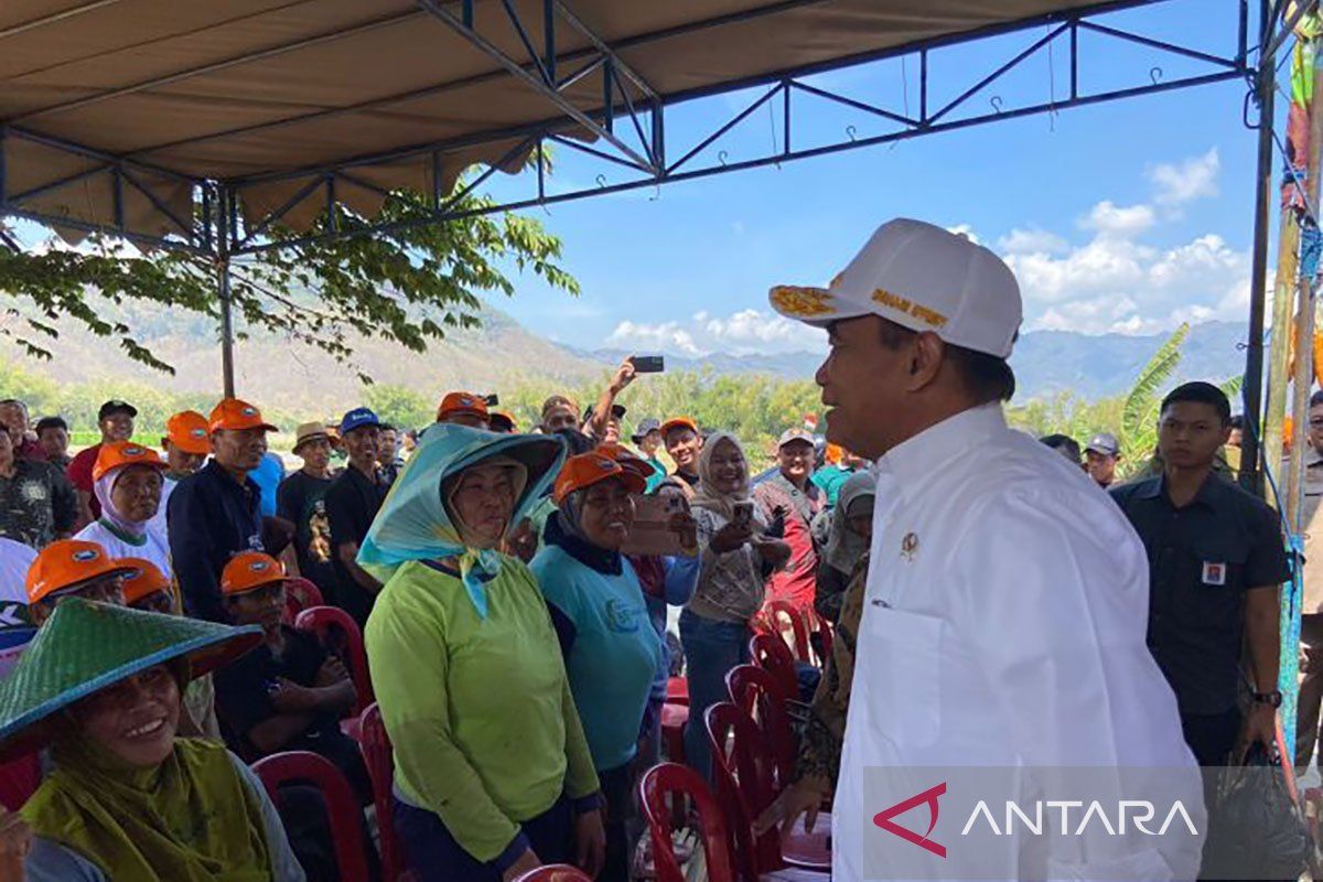 Menko PMK sebut nasi jagung bisa jadi opsi menu makan siang gratis