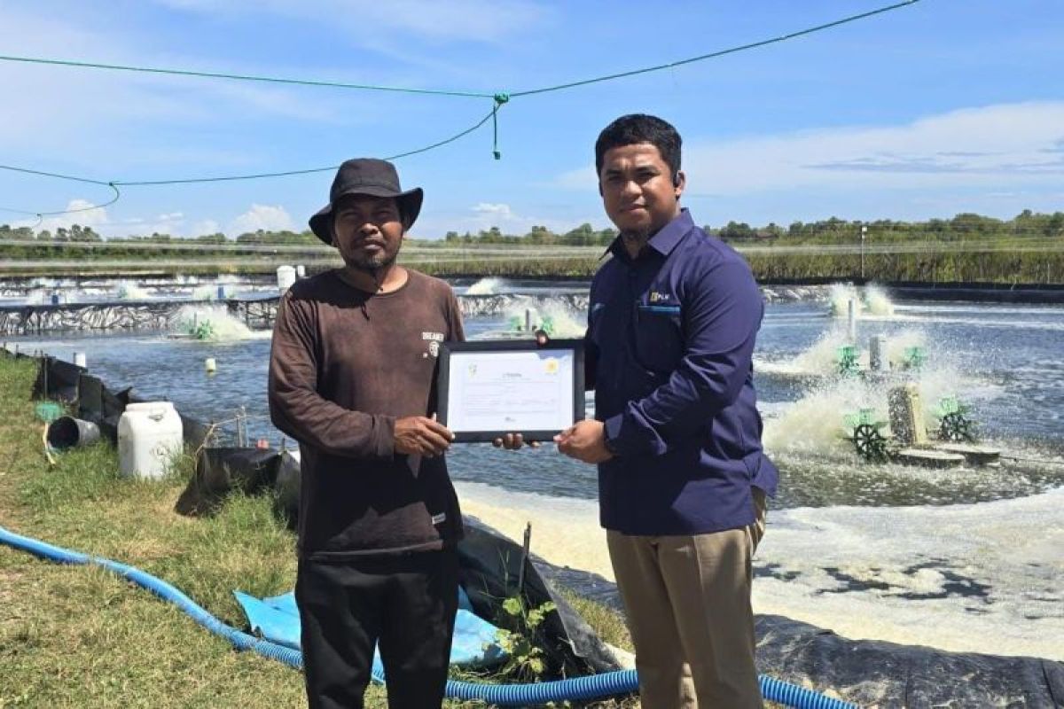 PLN bantu petambak udang Takalar berhemat  berkat energi hijau