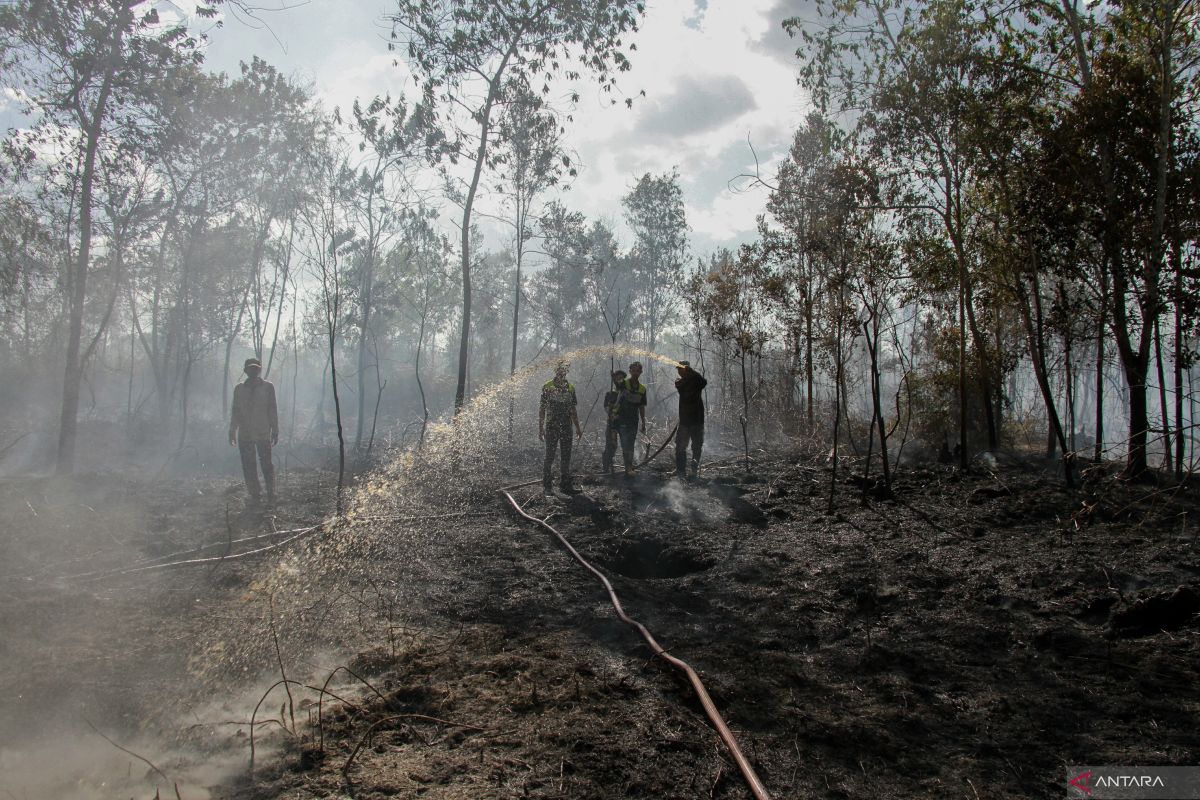 Jaga lahan gambut jelang El Nino kuat!