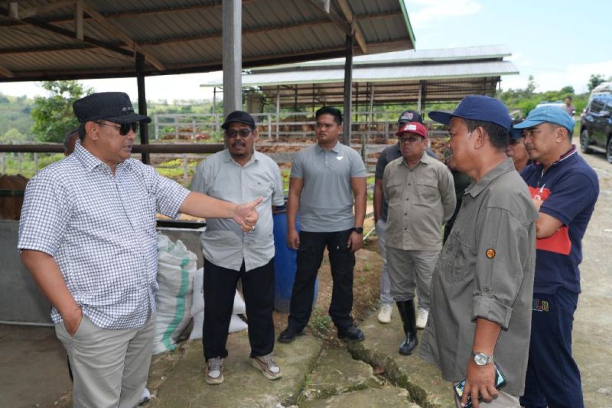 Pemprov Sulbar menjadikan Desa Beroangin sentra pengembangan sapi