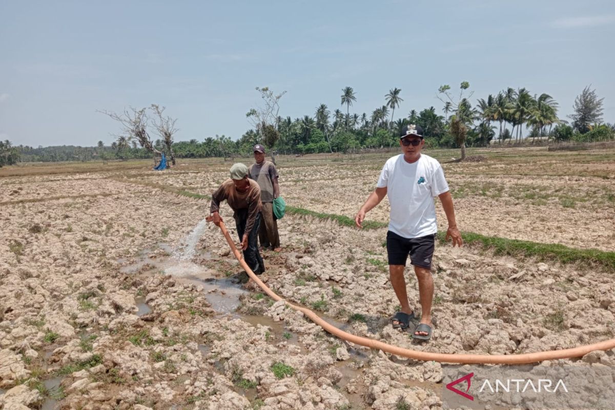 Mukomuko apresiasi desa pertahankan lahan pertanian dari alih fungsi