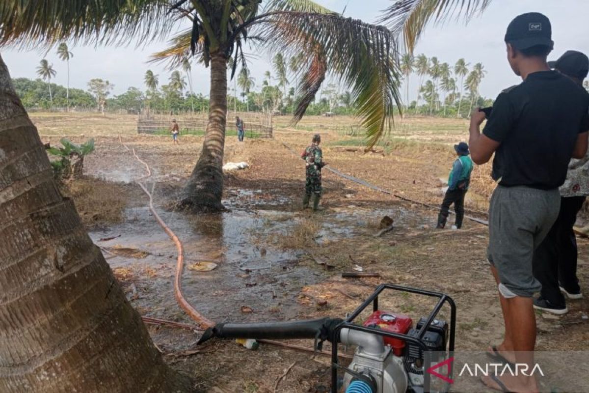 Hujan selamatkan ratusan hektare sawah Mukomuko, petani bernapas lega