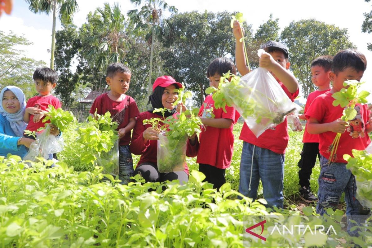 Babel galakkan gemar makan sayur tekan stunting