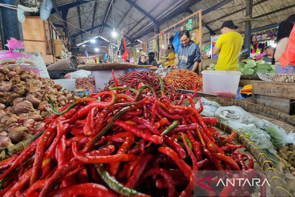 BPS: Ekonomi Papua Barat triwulan II-2024 tumbuh 21,11 persen