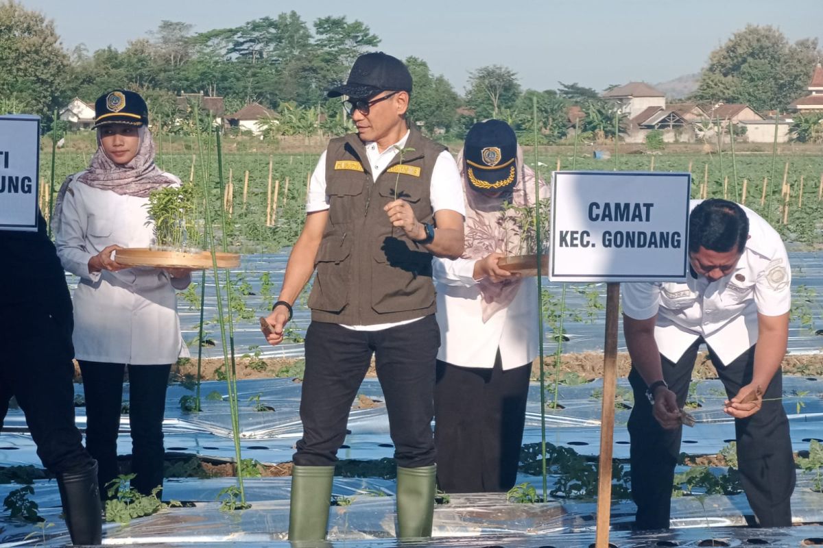 Inflasi Tulungagung naik tipis imbas kenaikan harga komoditas pokok