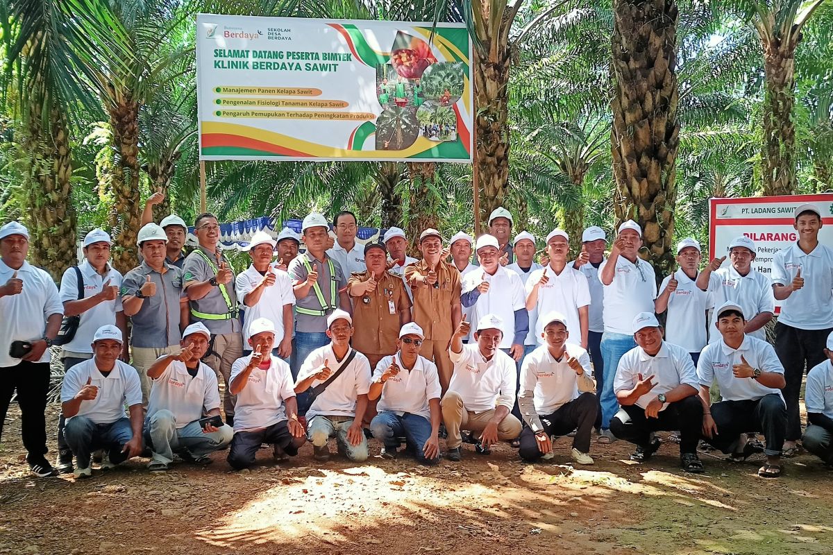 PT Bumitama Gunajaya Agro gelar bimtek budidaya perkebunan sawit bagi petani