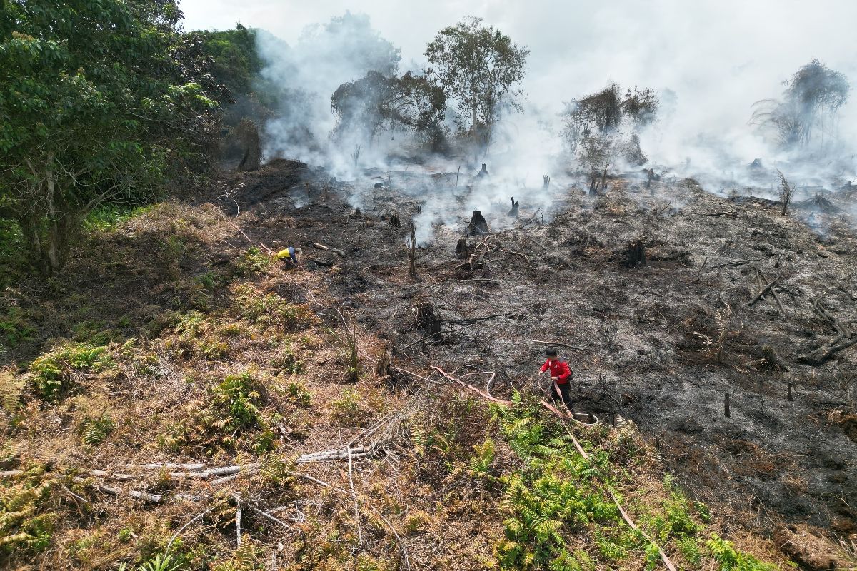 Tower sutet terkepung karhutla, Satgas Kotim berjibaku padamkan api