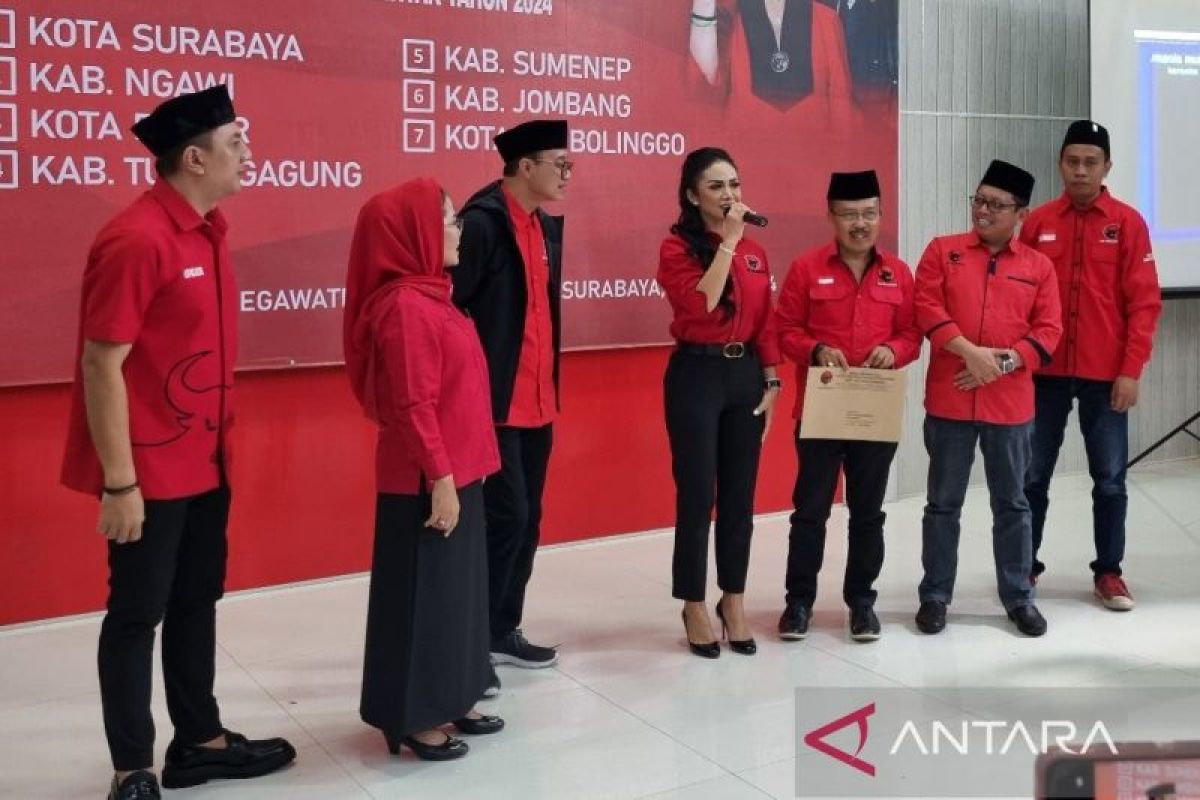 Pengamat: Krisdayanti tak bisa hanya andalkan popularitas di Pilkada