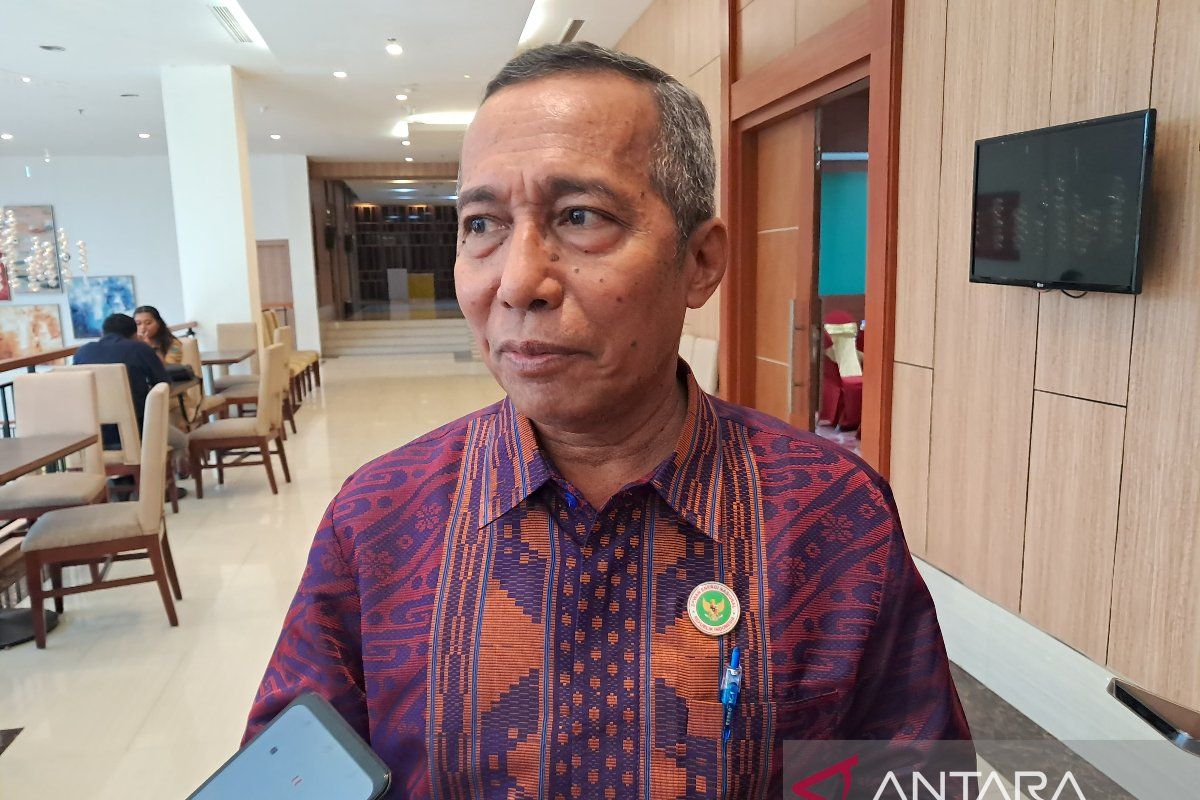 DEN sarankan empat DOB di Papua terbitkan Pergub RUED