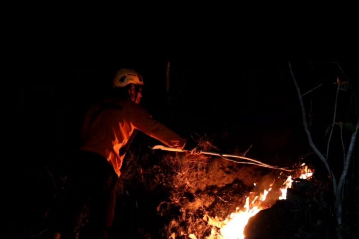 Hutan jati seluas tujuh hektare di Ponorogo hangus terbakar