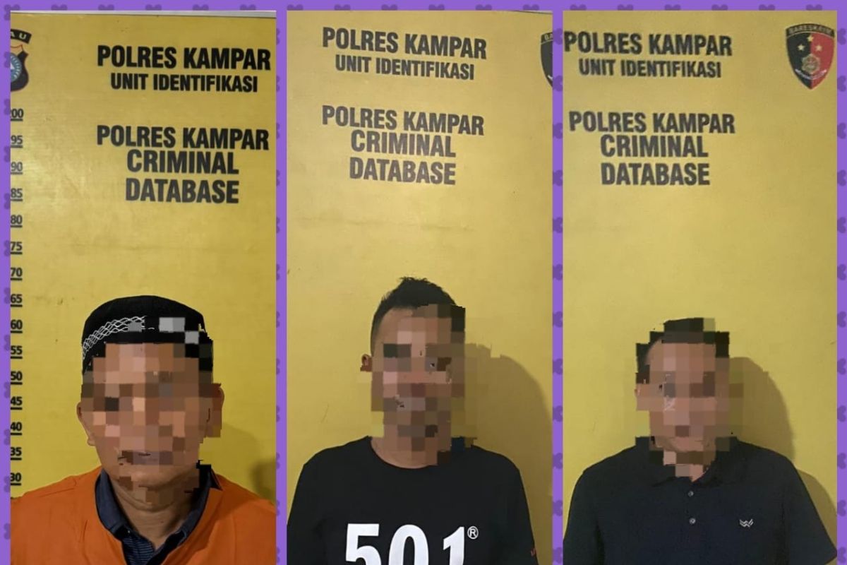 Polres Kampar tangkap tiga penipu penjual lahan