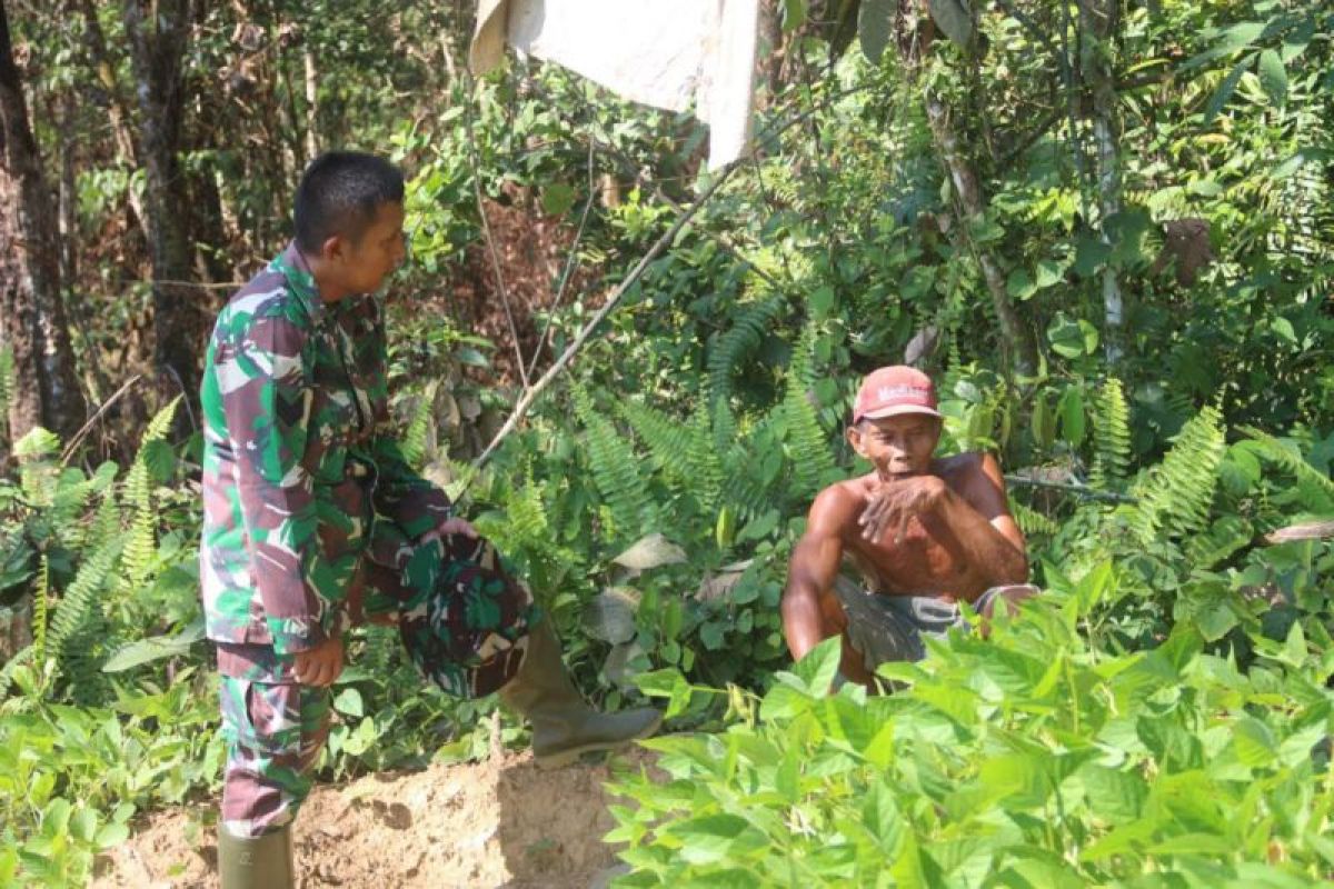 TMMD ke-121, Satgas lakukan pendampingan petani kacang kedelai