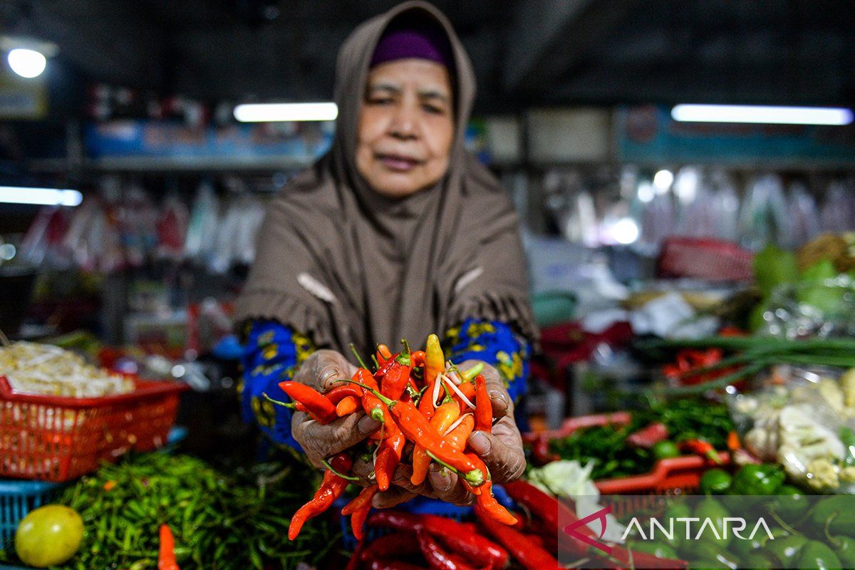 Harga cabai tembus Rp78.110 per kg dan ikan tongkol Rp53.440 per kg