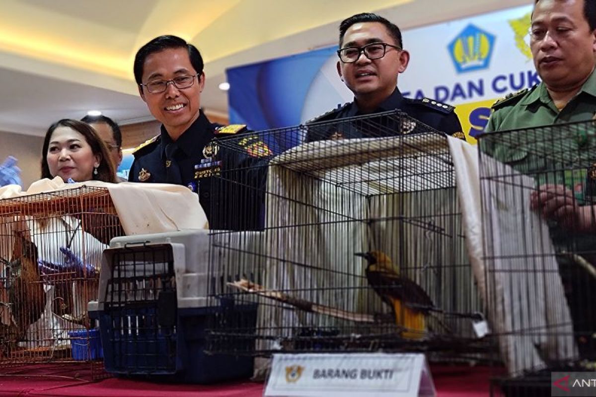 BC Soetta Banten gagalkan penyelundupan 56 satwa langka ke India