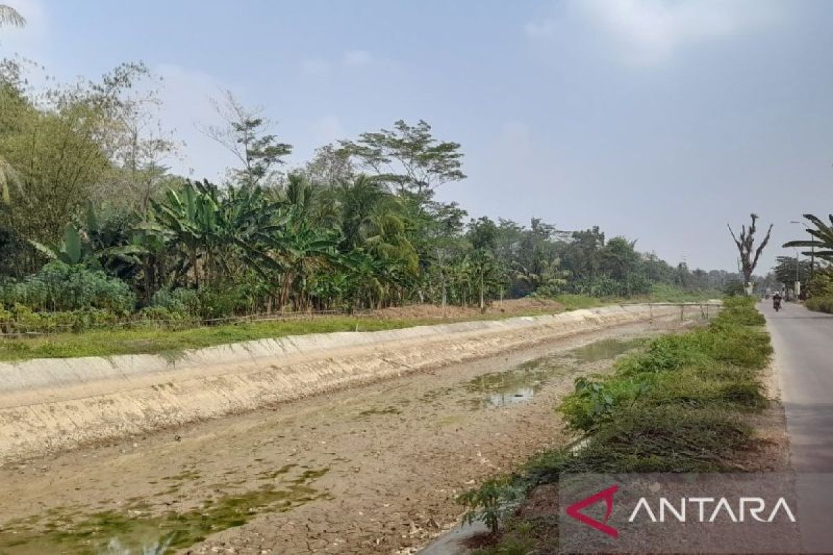 Ini lima kecamatan di Kota Serang yang rawan kekeringan