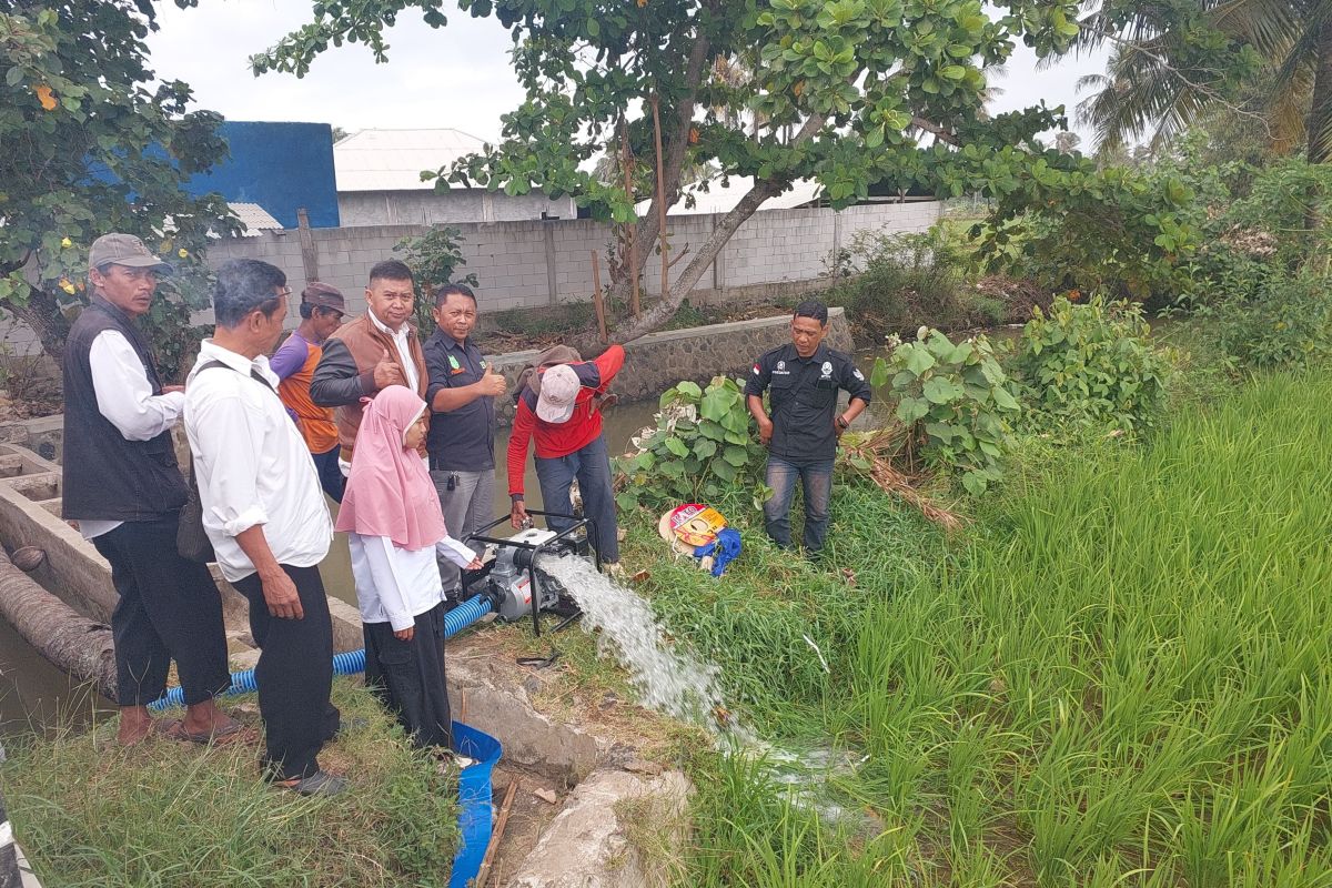 BPTPH Jabar: Tanaman padi di Garut terdampak kemarau berhasil dipanen