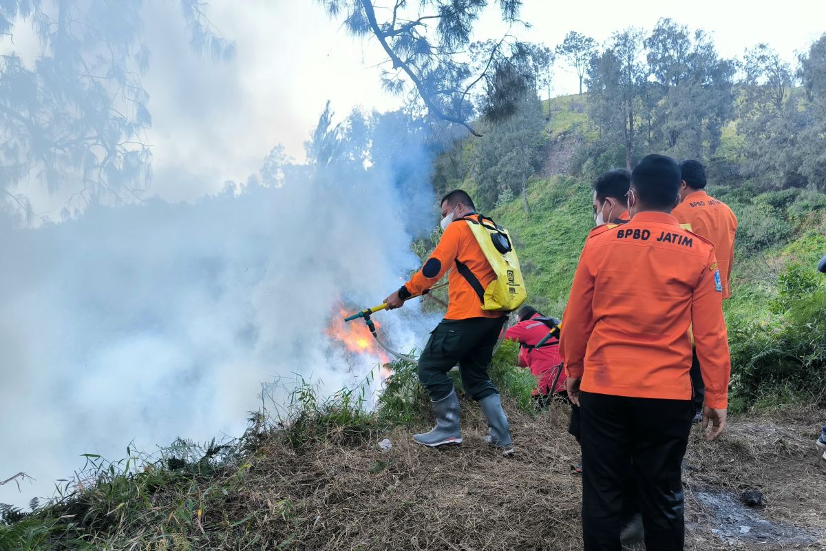 BPBD Jatim berjibaku padamkan api di Penanjaka Gunung Bromo