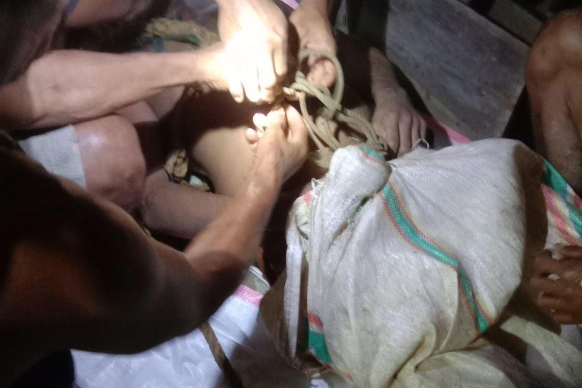 Empat orang meninggal dunia di Halmahera Selatan  akibat terjebak di lubang tambang emas ilegal