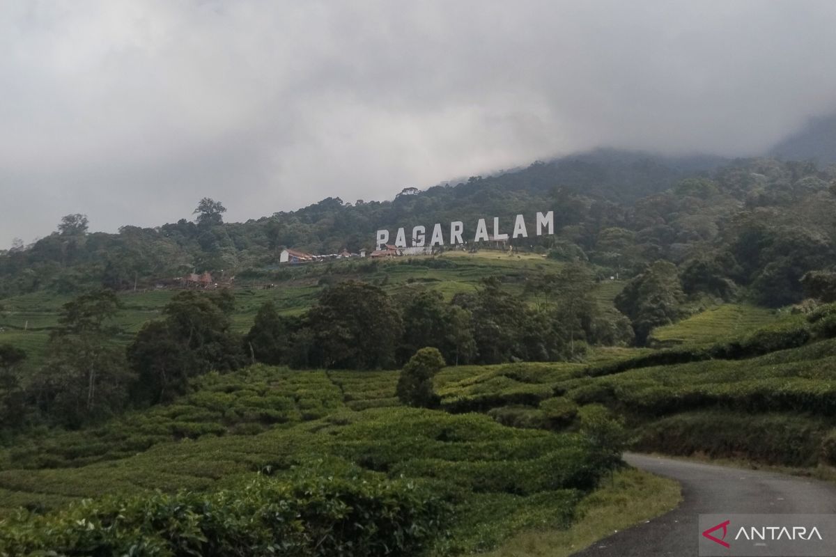 BPBD imbau pendaki tak dekati kawah Gunung Dempo radius satu kilometer