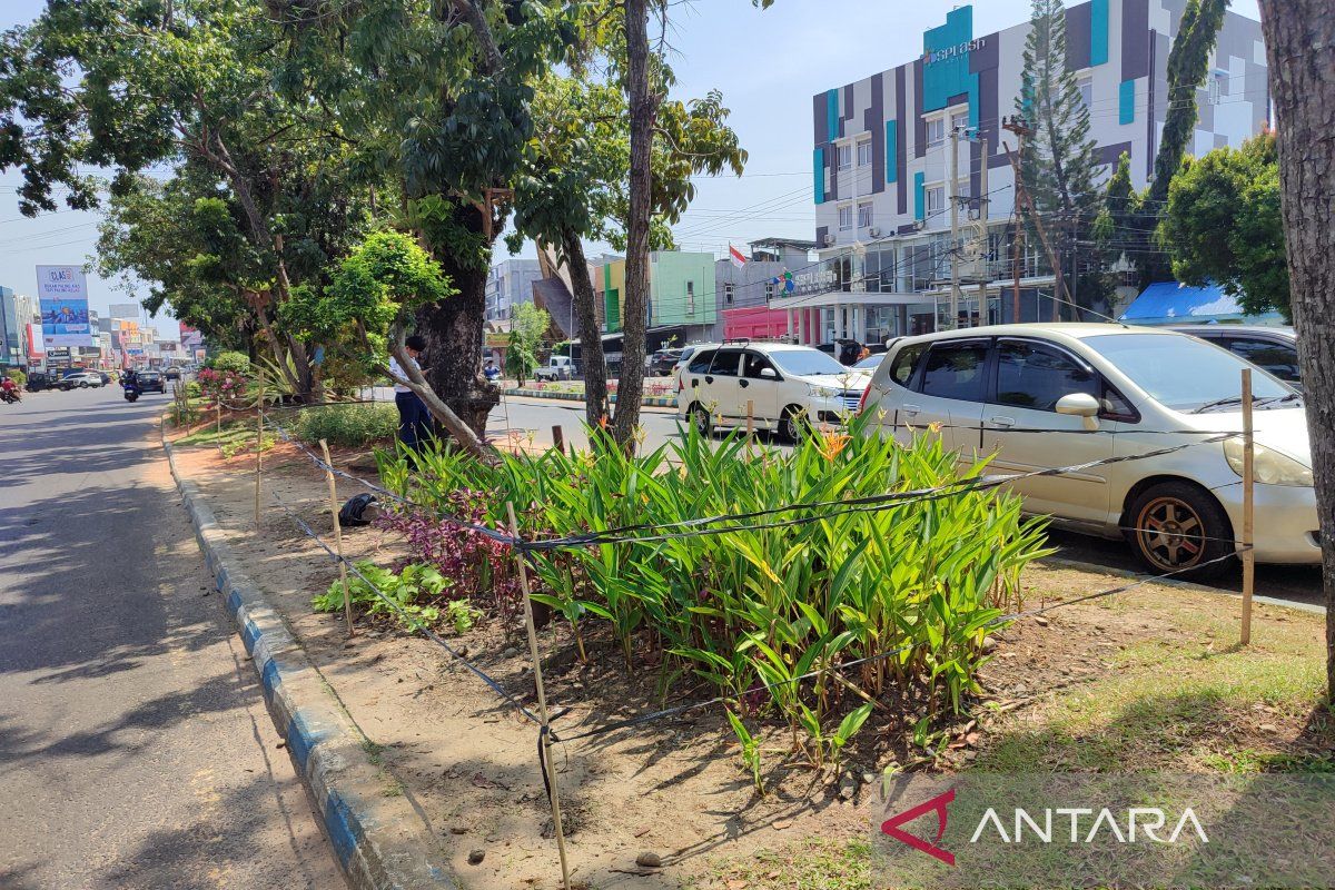 Pemkot Bengkulu usulkan Rp10 miliar untuk pembangunan RTH pada 2025